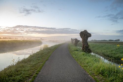 Binnenveldse Hooilanden - 5