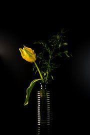 Gelbe Papageien-Tulpe in Glasvase von Gaby Hendriksz