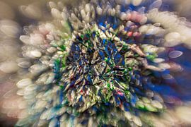 Kleur Explosie #6