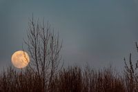 Moonset
