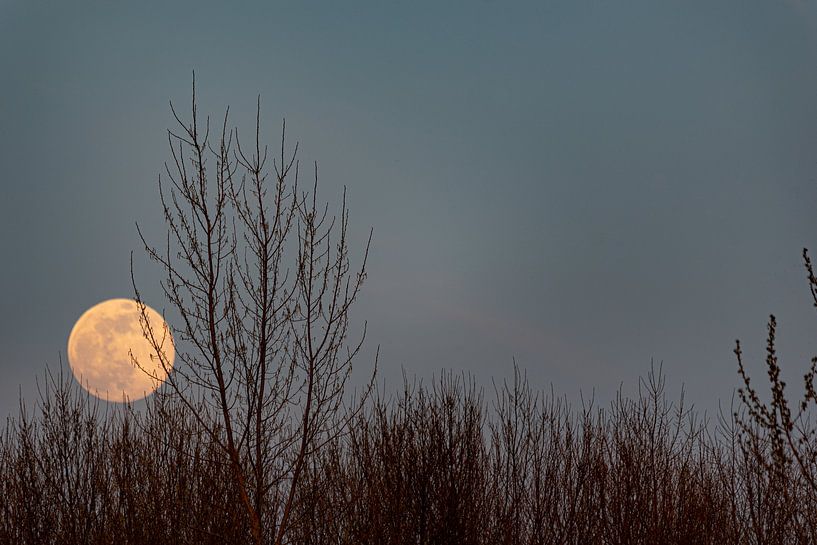 Moonset van Peter Pruydt