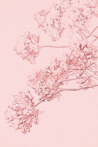 Roze bloesemtak