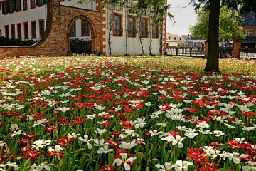 Bloeiende pracht in de kloostertuin van Thomas Riess