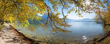 herfstachtige oever van het meer Traunsee, Salzkammergut Gmunden van SusaZoom