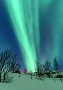 Lumières nordiques, lumière polaire ou aurore Borealis dans le ciel de nuit au-dessus des îles de Lo par Sjoerd van der Wal Photographie Aperçu