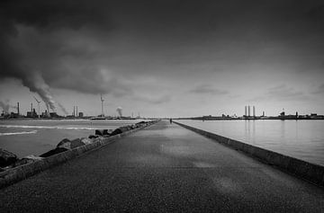 North Pier by Johanna Blankenstein
