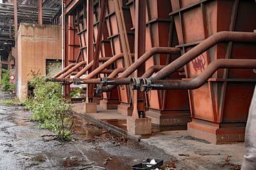 old plant by wil spijker