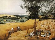De Oogsters van Pieter Brueghel de Oude van Rebel Ontwerp thumbnail