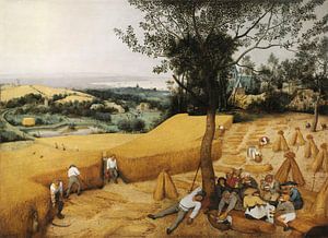 Die Kornernte (Hochsommer), Pieter Brueghel der Ältere