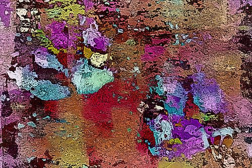 Paw Prints Rough And Ready (empreintes de pattes)