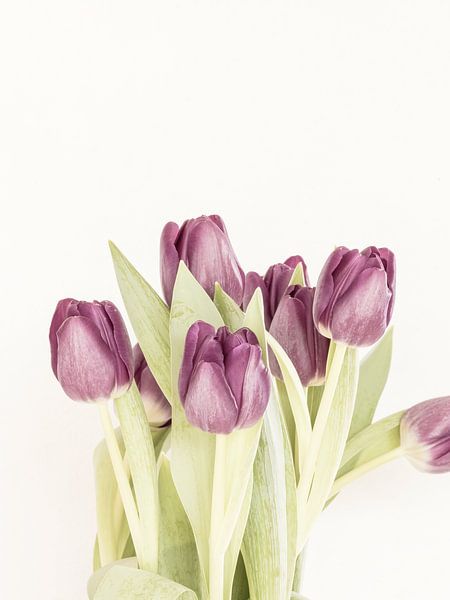 Violet Boeket van Michael Schulz-Dostal