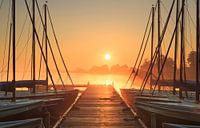 Sunrise marina