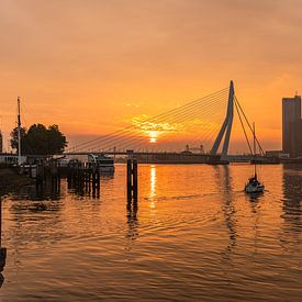 Erasmus bridge in Rotterdam at sunrise by Martien Snikkers