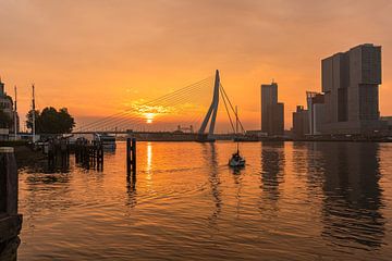 Erasmusbrug in Rotterdam bij zonsopkomst van Martien Snikkers
