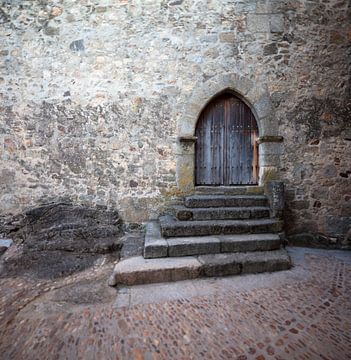 Alte Tür mit Treppe