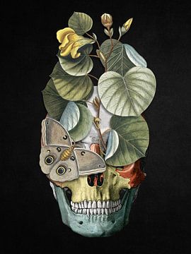 Skull Botanical by Marja van den Hurk