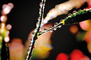 Farbenfrohe Wassertropfen