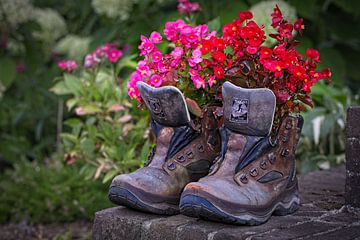 Alte Schuhe sterben nie von Rob Boon