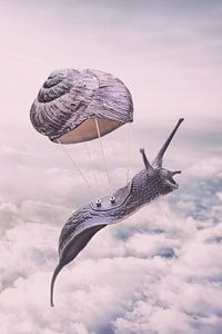 Magische Wanddekoration: Fliegende Schnecke in rosa Wolken - Einzigartiger Fantasy-Kunstdruck