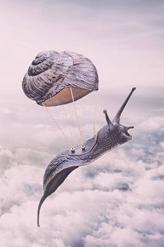 The sky is the limit by Elianne van Turennout