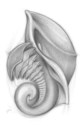 Ontdekking 2, denkbeeldige levensvorm