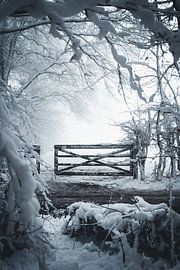 A winter vista by Leanne Verdonk