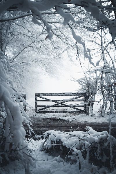 A winter vista by Leanne Verdonk
