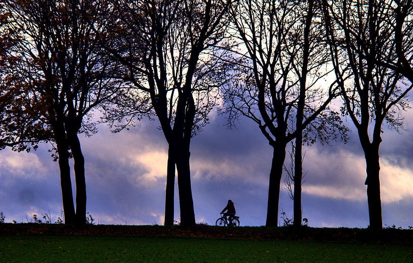 Jeu d'ombres avec cycliste par Edgar Schermaul