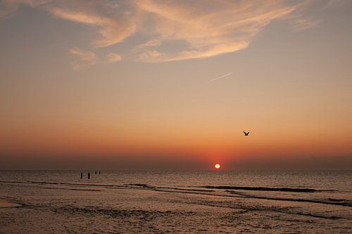 Strand von Domburg