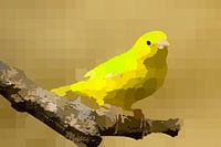 Vögel 1