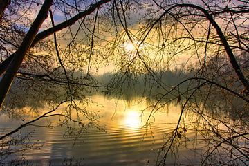 Zonsopgang in de Ried in de Elzas van Tanja Voigt