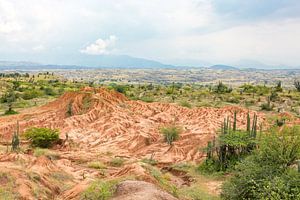 Uitzicht over de Tatacoa woestijn in Colombia van Michiel Ton