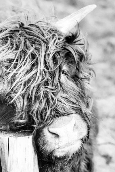 Just leaning in by Astrid Bregman