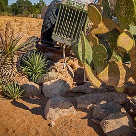 Old tractor in Solitaire by Danielle van Leeuwaarden