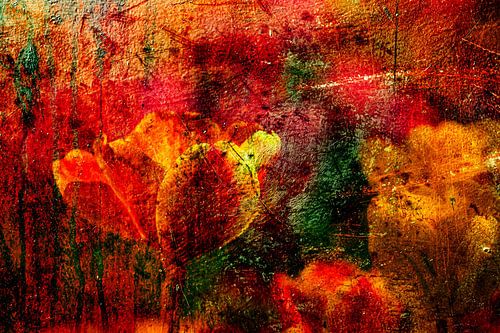 Tulipe abstraite sur Dieter Walther