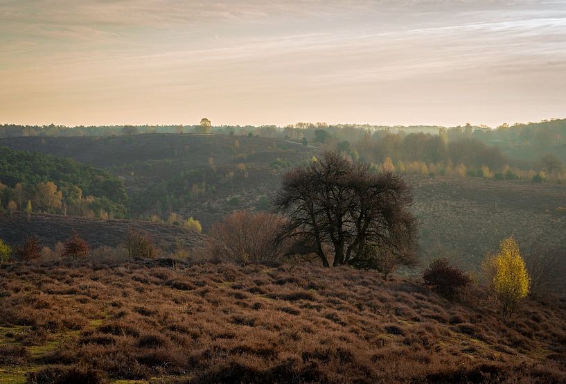 Atmospheric photo of the Posbank by René Jonkhout