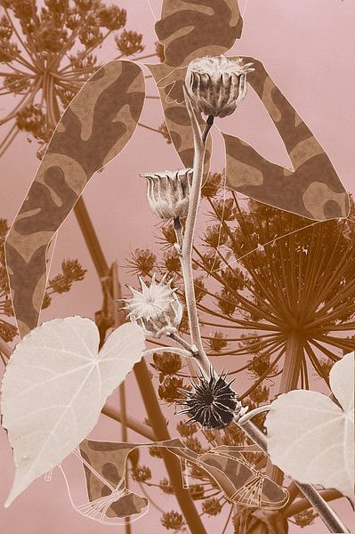 Origami Bloom by True Color Stories