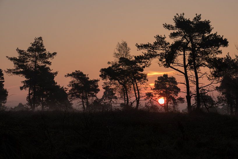 Zonsopkomst by Youp van den Heuvel