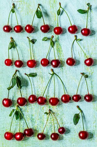 Grappes de cerises sur fond tuquoise