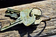Forgotten Key on a Bench - Central Park, New York by Be More Outdoor thumbnail