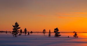 Winterabend in Nordschweden von Adelheid Smitt