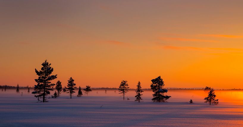 Winteravond in Noord Zweden van Adelheid Smitt
