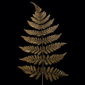 golden fern von Anneliese Grünwald-Märkl