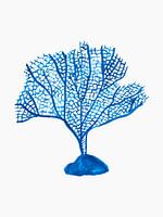Árbol Coral