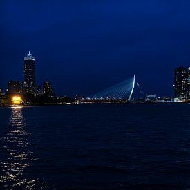 The eye-catcher of Rotterdam by Tanja Otten Fotografie