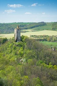 Burg Saaleck im Frühling