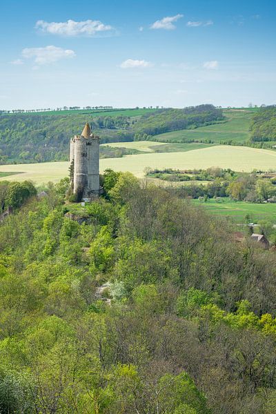 Burg Saaleck im Frühling von Martin Wasilewski