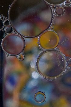 Cercles (3)