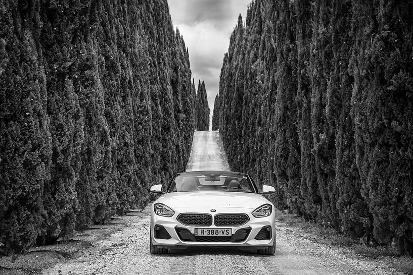 BMW Z4 van Menno Schaefer