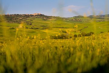 Landschap in Zuid Toscane / Val d'Orcia van Damien Franscoise